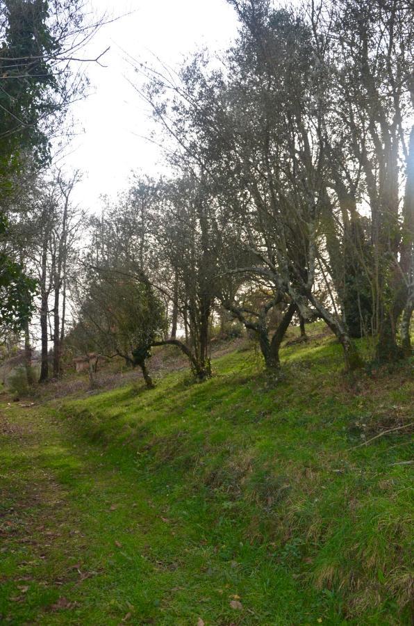 Il Giardino Secreto Appartement Manziana Buitenkant foto